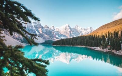 Can I Fire My Web Designer and Only Use AI?