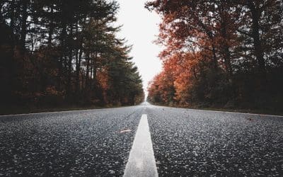 What is Ashby’s law and how does it relate to UX design?