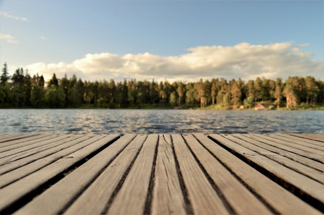 Can I Really Design A Website On My Own Or Go With Web Design Company?