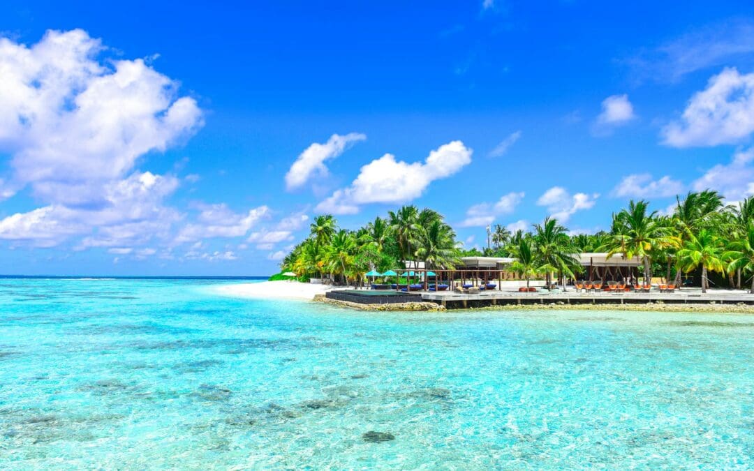 Should You Let Your Web Designers Purchase Your Domain?