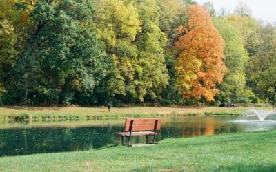 Voice Search and Its Impact on Web Design