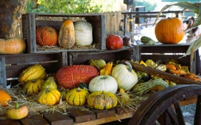 Why Website Speed Matters (and How to Improve It)