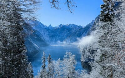 The Future of Local SEO in an AI Search World