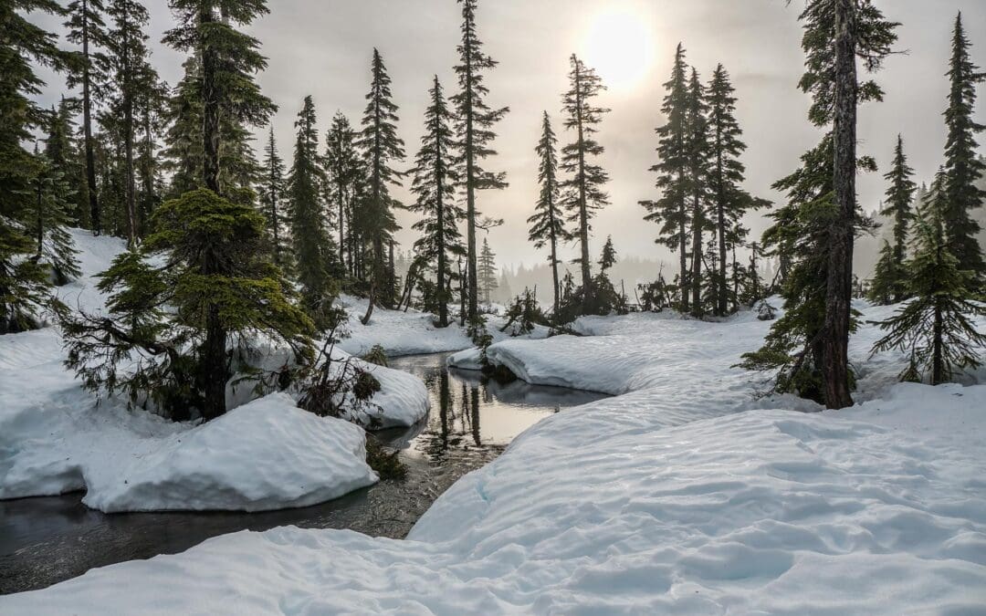 How Branding and Web Design Work Together