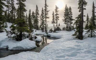 How Branding and Web Design Work Together