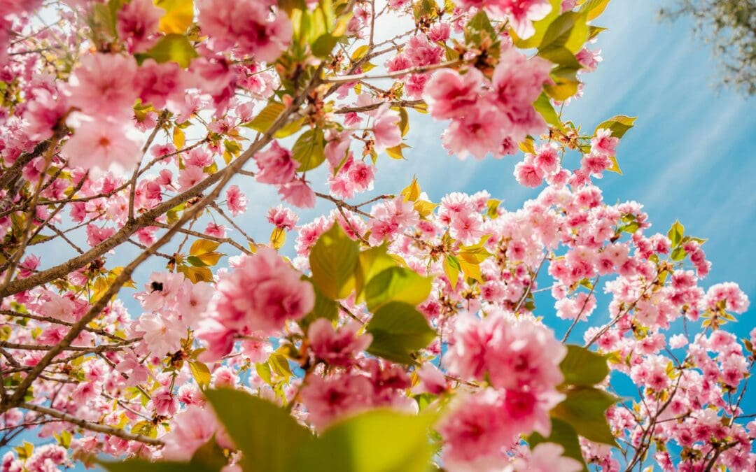 10 Website Design Mistakes That Are Costing You Customers