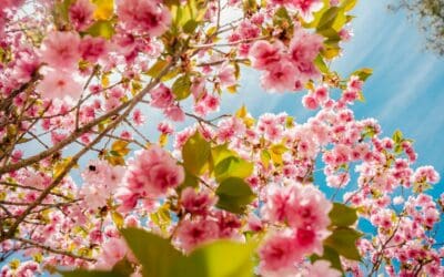 10 Website Design Mistakes That Are Costing You Customers