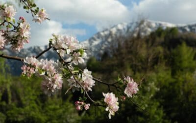 How Local Businesses Can Generate Leads Online