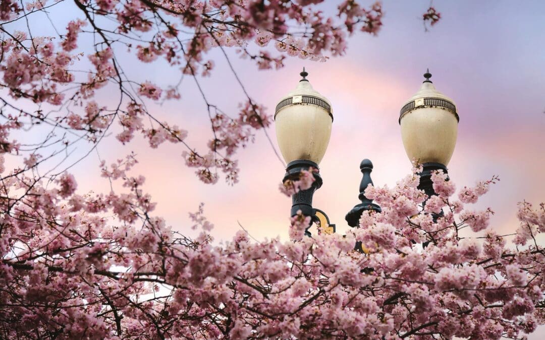 How Much Does a Website Cost for a Small Business?