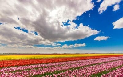 Why Your Business Isn’t Showing Up on Google Maps