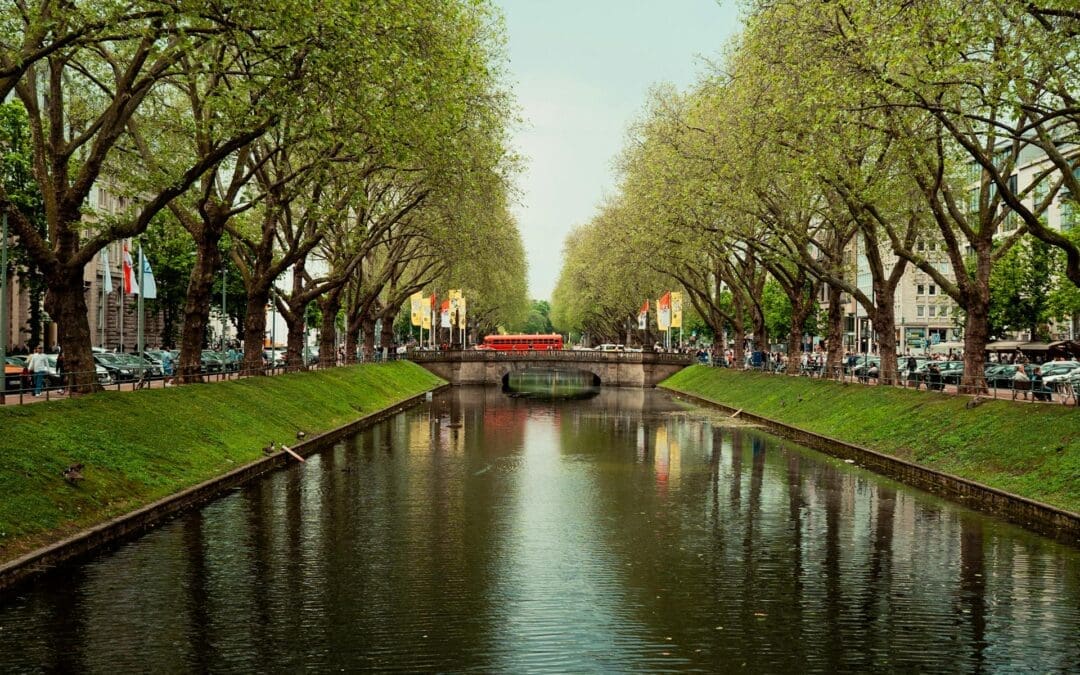 How to Choose the Right Web Design Company for Your Business